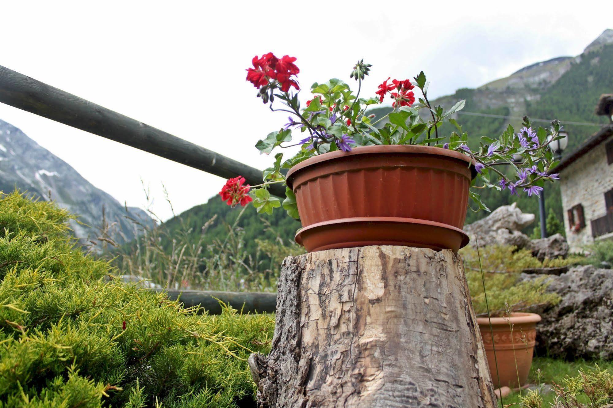 Hotel Bouton D'Or - Cogne Luaran gambar
